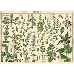 Пазли тришарові Interdruk Vintage Nature 1, 1000 шт. (385062) - мініатюра 3