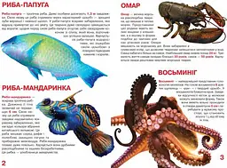Велика книга Кристал Бук Мешканці морів та океанів (F00013014) - мініатюра 2