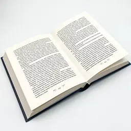 Король шрамів - Бардуго Лі | Vivat, книга українською, нова, тверда - мініатюра 4