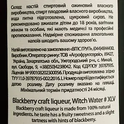 Настоянка плодова Witch Water Ожина 22% 0.5 л - мініатюра 4