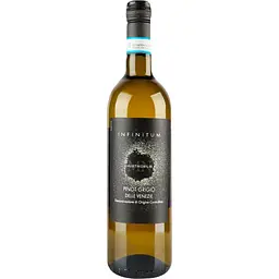 Вино Infinitum Pinot Grigio DOC Delle Venezie біле сухе 0.75 л