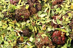 Йерба Мате Green TUTTI FRUTTI - Банка, 400 г - мініатюра 6
