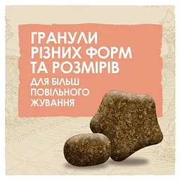 Сухий корм для собак з чутливим травленням Dog Chow Sensitive Adult 1+, з лососем, 2,5 кг - мініатюра 5