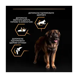Сухий корм для собак Purina Pro Plan Dog Large Adult Robust з куркою 14 кг (7613035120426) - мініатюра 9