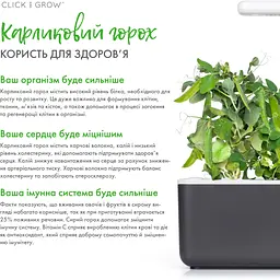 Змінний картридж Click & Grow Smart Garden Карликовий горошок, 3 капсули (8998) - мініатюра 4