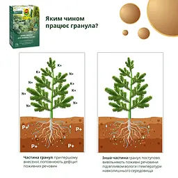 Тверде добриво тривалої дії для хвойних COMPO 2 кг - мініатюра 9