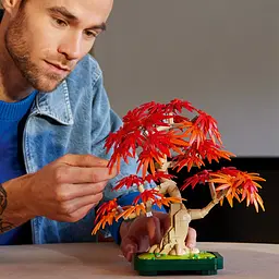 Конструктор LEGO Botanicals Бонсай з японського червоного клена 474 деталі (10348) - мініатюра 8