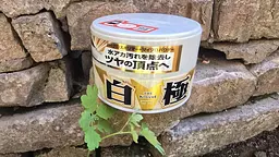 Твердий віск SOFT99 Kiwami Extreme Gloss Wax White для білих автомобілів, 200 г, SF-00191 - мініатюра 2
