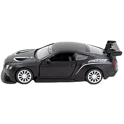 Автомодель TechnoDrive Bentley Continental GT3 матова чорна (250259) - мініатюра 3