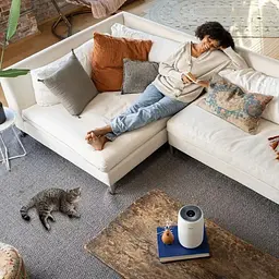 Очищувач повітря Levoit Air Purifier Core Mini (HEAPAPLVNEU0114Y) [94694] - мініатюра 8