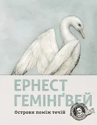 Острови поміж течій