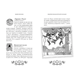 Книга Квідич крізь віки - Джоан Ролінґ А-ба-ба-га-ла-ма-га (9786175851371) - мініатюра 3