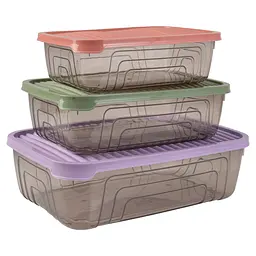 Контейнер пластиковий Herevin Rectangular Storage Bowl Set-2024 Colours 3 шт. (163332-150)
