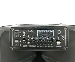 Колонка Big LT-1206 bluetooth + 2 мікрофона (360х280х560) USB/MP3/FM/BT/TWS Чорна - мініатюра 4