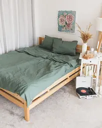 Постільна білизна двоспальне Dushka Home Варена бавовна 21040 180х215 см холодна зелена