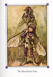 Flower Fairies of the Winter - мініатюра 11
