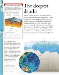 Ocean. A Children's Encyclopedia - мініатюра 4