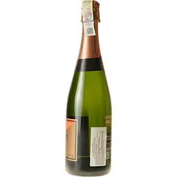 Вино ігристе Mont-Ferrant L'Americano Organic Cava Brut Nature, біле, брют натюр, 0,75 л - мініатюра 6