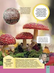 Дитяча енциклопедія біології - Том Джексон - мініатюра 15