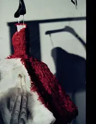 Alexander McQueen - мініатюра 2