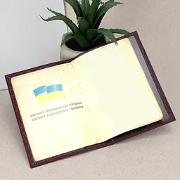 Обкладинка на паспорт шкіряна 07115 бордовий пітон - мініатюра 4