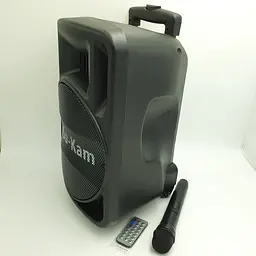 Акустична система акумуляторна колонка 10" з мікрофоном радіо Su-Kam BT100D 500 Вт чорна - мініатюра 5