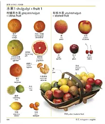Mandarin Chinese-English Bilingual Visual Dictionary - мініатюра 7