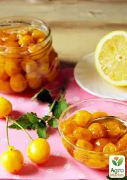Саджанець Agro-Market Черешня глянцевого жовтого кольору Медова насолода (Honey sweetness) (преміальний, стійкий до захворювань сорт) 1 шт. в упаковці (47681) - мініатюра 3