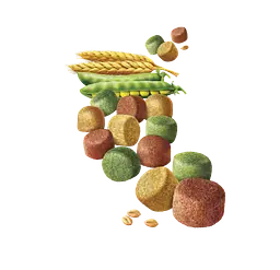 Сухий корм для дорослих собак усіх порід Brekkies (Брекис) Dog Chicken з куркою 3 кг - мініатюра 2