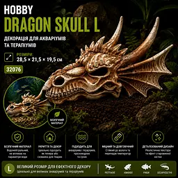 Декорація череп дракона Hobby Dragon Skull L 28,5×21,5×19,5 см для акваріума і тераріума (32076) - мініатюра 7
