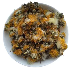 Кульбаба Квіти Бабка Пустодуй Маївка Taraxacum officinale