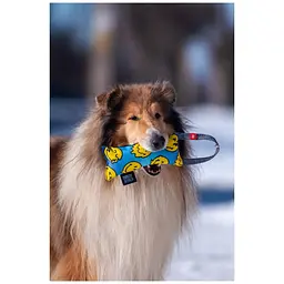 Іграшка для собак Waudog Fun з пискалкою Смайли на блакитному S - мініатюра 5