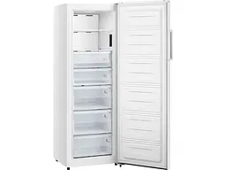 Морозильна камера Gorenje FN617EEW5 - мініатюра 2