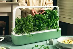 Стартовий набір Click & Grow Smart Garden 9 м'ятно-зелений (SG9S13UNI) - мініатюра 3