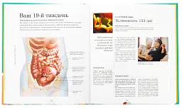Вагітність день за днем - Меггі Блотт - мініатюра 4