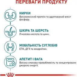 Сухий корм Royal Canin Ageing 11+ Strerilised для дорослих стерилізованих кішок та кастрованих котів 2 кг - мініатюра 6