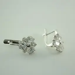 Срібні сережки (4539)