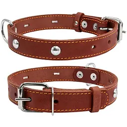 Нашийник для собак Collar одинарний з прикрасою (2001356000001)