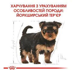 Сухий корм для цуценят йоркширських тер'єрів Royal Canin Yorkshire Terrier Puppy 1.5 кг 39720151 - мініатюра 6
