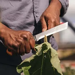 Ніж садовий Fiskars X-series K82 1062830 - мініатюра 4