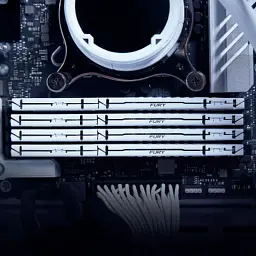 Модуль пам'яті для комп'ютера DDR5 32GB 6000 MHz Beast EXPO White Kingston Fury (ex.HyperX) (KF560C36BWE-32) - мініатюра 5