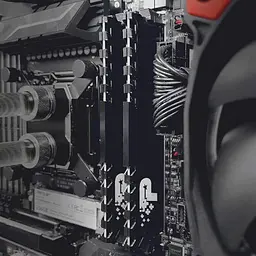 Модуль памяті DDR4 2x16GB/3200 Patriot Signature Line Premium (PSP432G3200KH1) - мініатюра 4