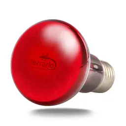 Інфрачервона нагрівальна лампа Terrario Nangola Red Night Light 50W - мініатюра 2