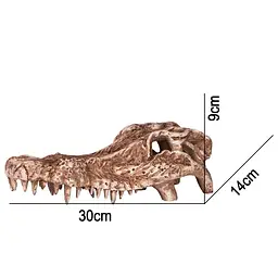 Декорація череп крокодила Terrario Crocodile Skull 30x14x9см (A15911) - мініатюра 2
