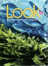 Look 3. WorkBook with Online Practice