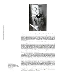 Bauhaus 1919-1933: Workshops for Modernity - мініатюра 6