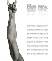 Anatomy for the Artist - мініатюра 6