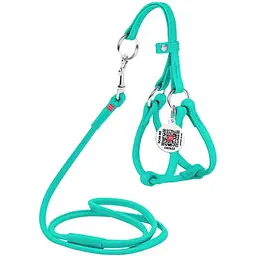 Шлея з повідцем для собак Waudog Glamour, шкіряна, кругла, з QR паспортом, 26-46х30-50х0,6/105 см, ментоловий (340113)