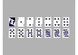 Карти гральні United States Playing Card Company Pythagoras (ВР_КИП) - мініатюра 2