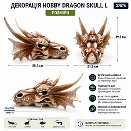 Декорація череп дракона Hobby Dragon Skull L 28,5×21,5×19,5 см для акваріума і тераріума (32076) - мініатюра 5
